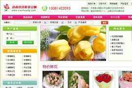 濟南網站建設與優化服務全解析 從制作到推廣再到備案